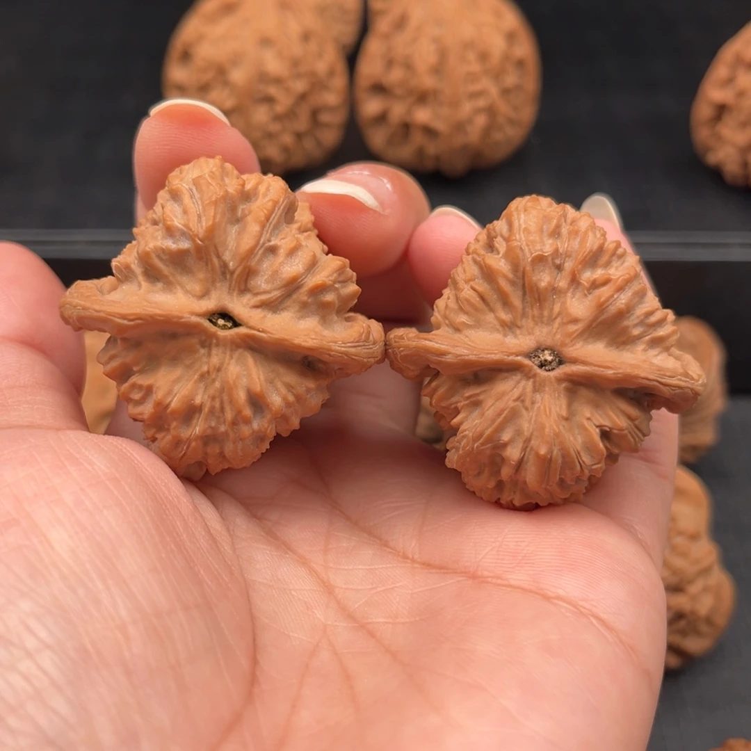 【闪购商品】吊坠文玩核桃原树白云寺马蹄