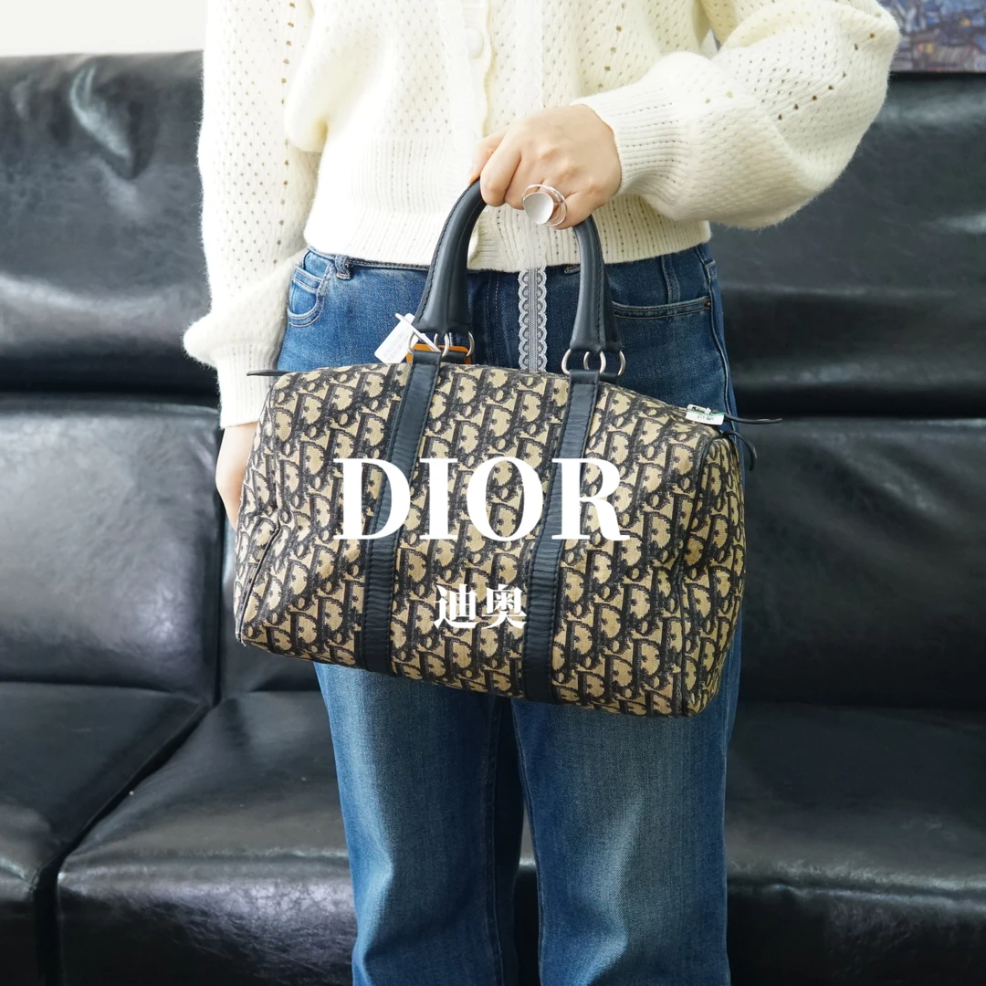 95新 DIOR/迪奥 老花枕头包/F3SP03104214/4214