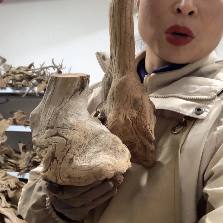 汾***泽木太行崖柏南靠板根