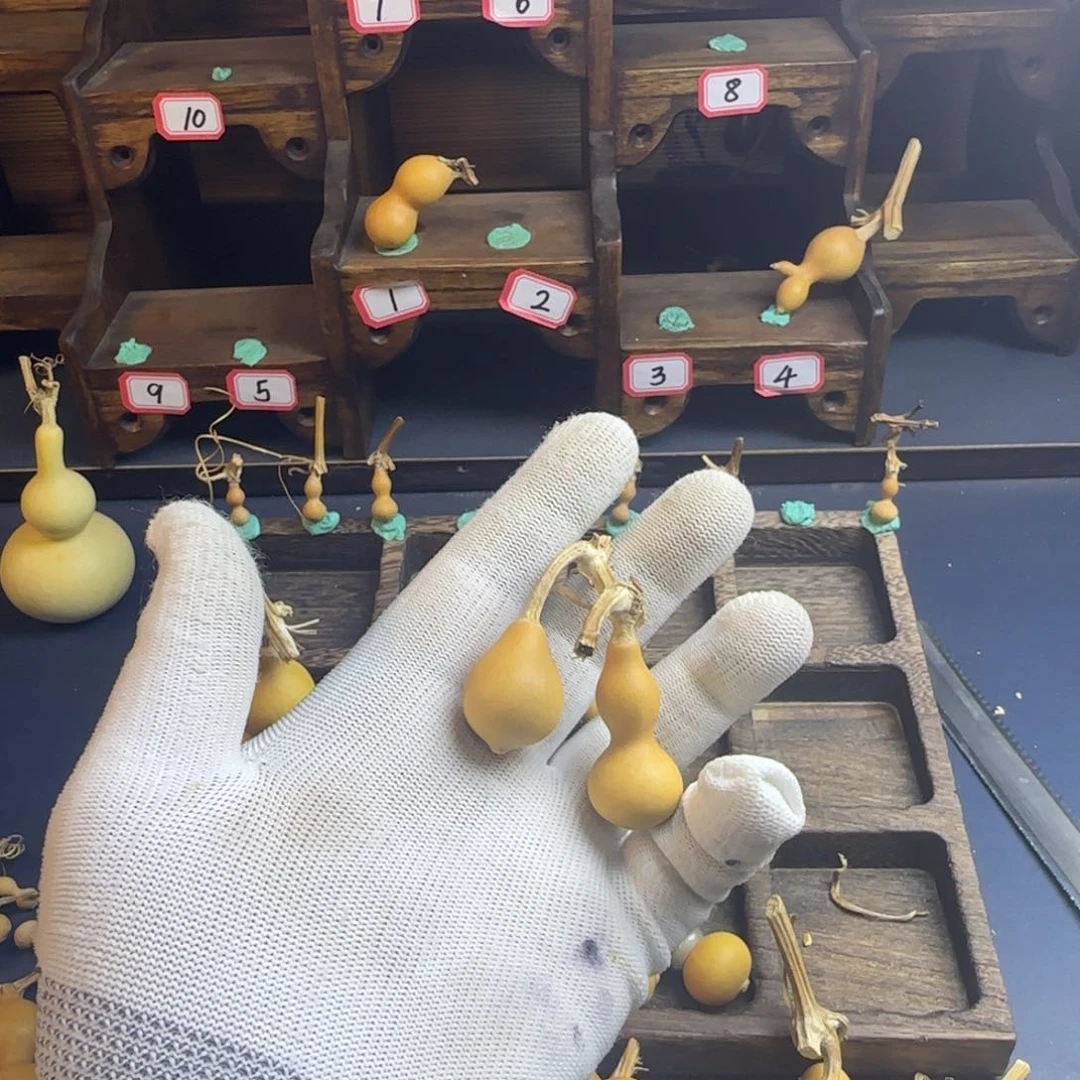 T****8我也是很喜欢这个节目的我真的