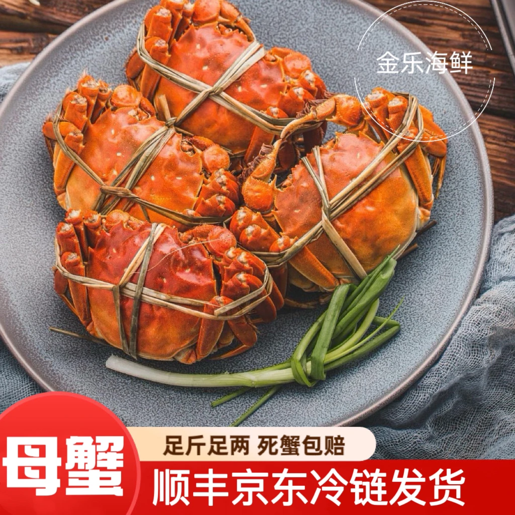 【母活蟹】-盘锦河蟹 母蟹 【每只1.2-1.4两】保活包邮
