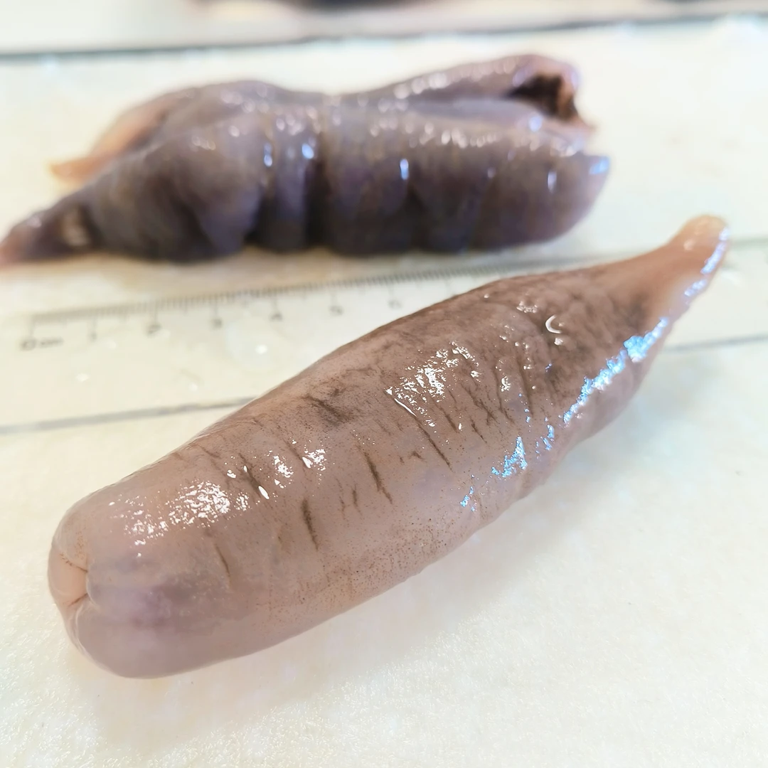 100头茄子参.淡干货.条形靓.不苦不麻不涩.平价海参.佛跳墙食材