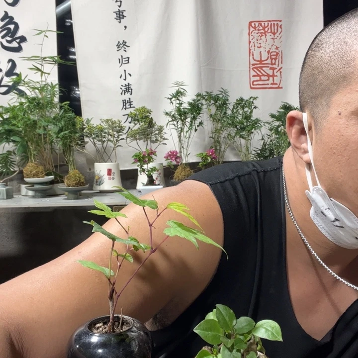 无花朵退款拉黑拉黑85