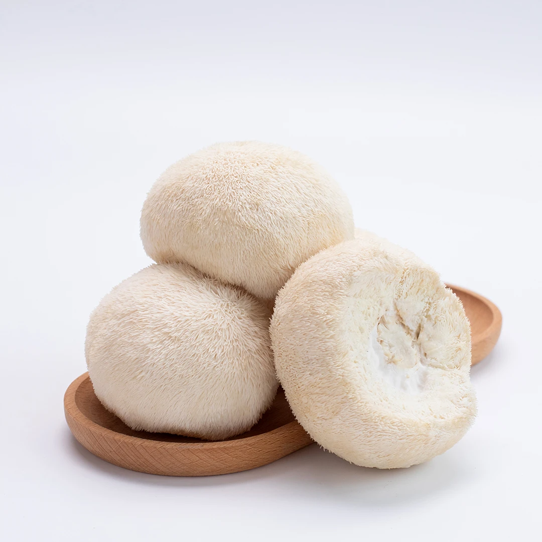 【小明正能量专属】山珍猴头菇头茬新鲜猴头菇现摘现发煲汤煮粥炒菜