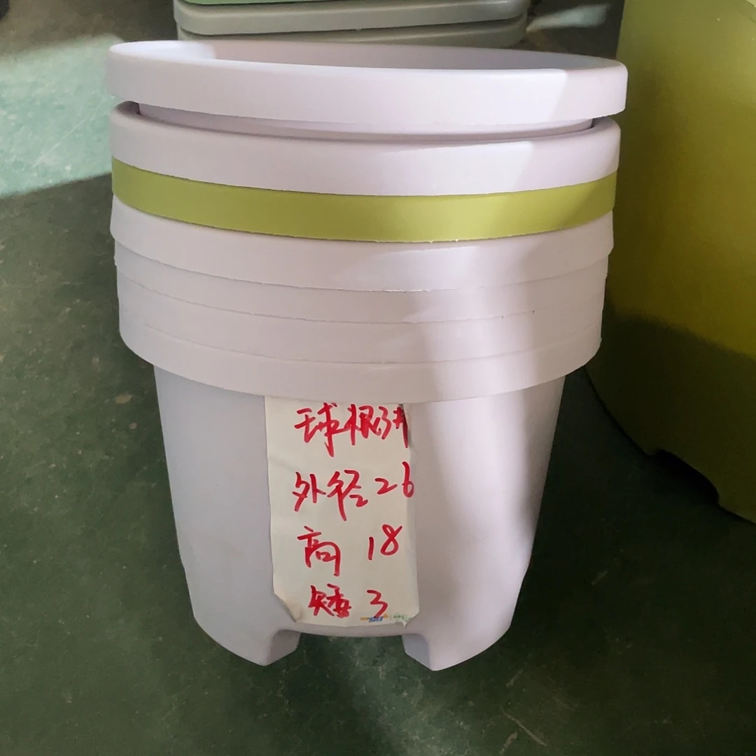 球根3#无拖浅紫5个