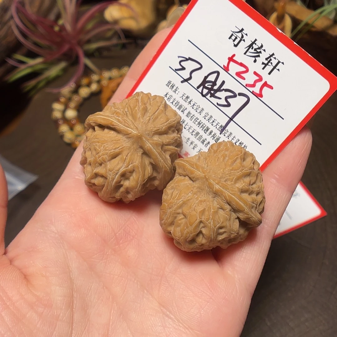 文玩核桃吊坠门头沟元宝福利5235