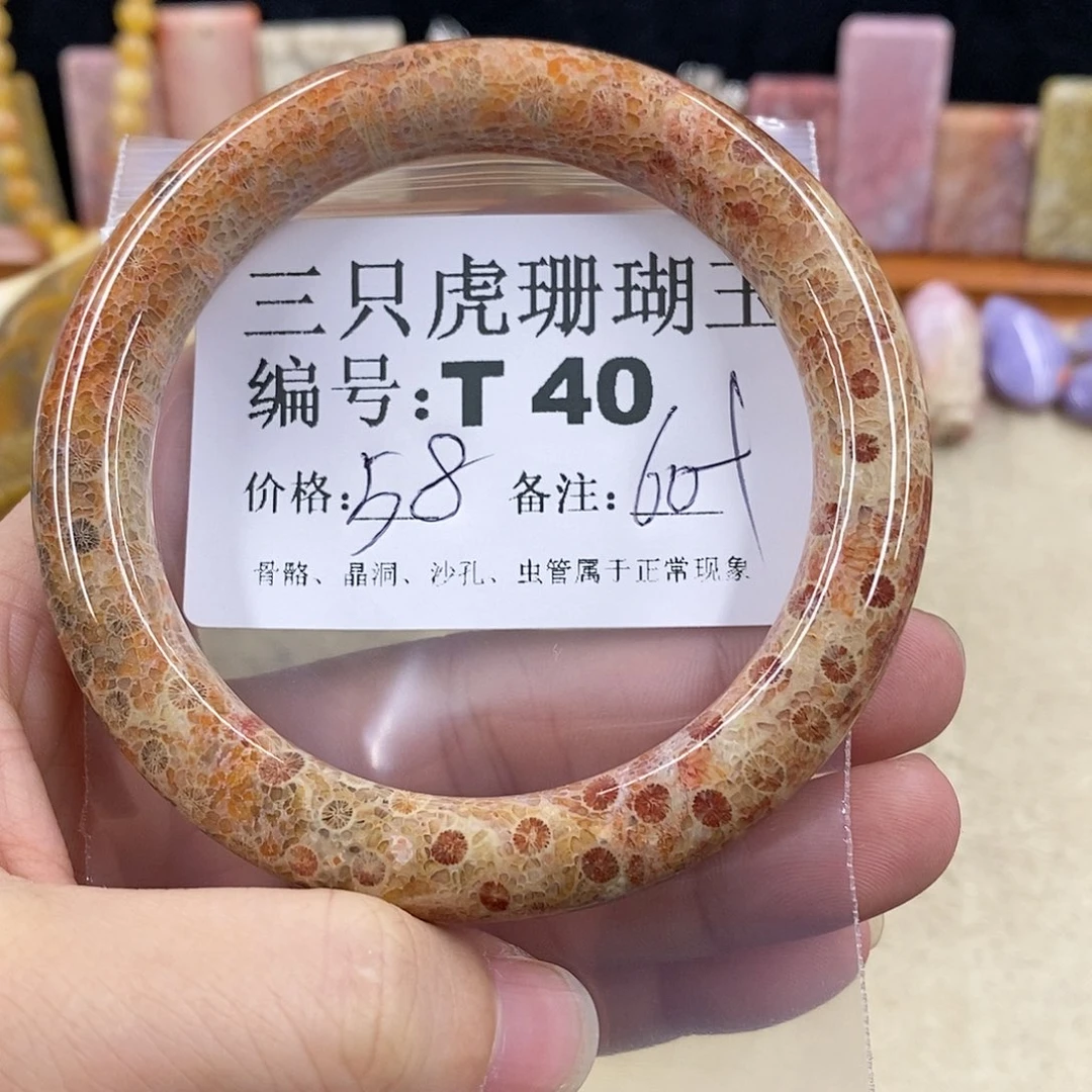 硅化珊瑚（珊瑚玉）1未镶嵌小**～