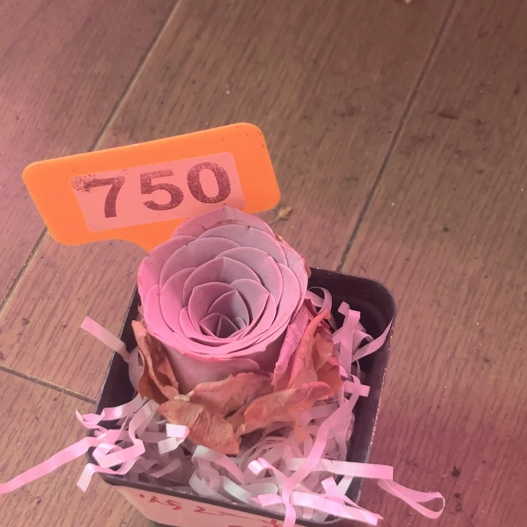 全部花朵750奚梦晨光