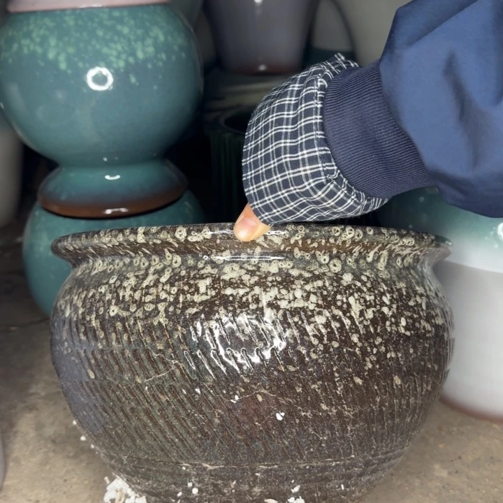 微瑕啦啦啦啦啦啦啦