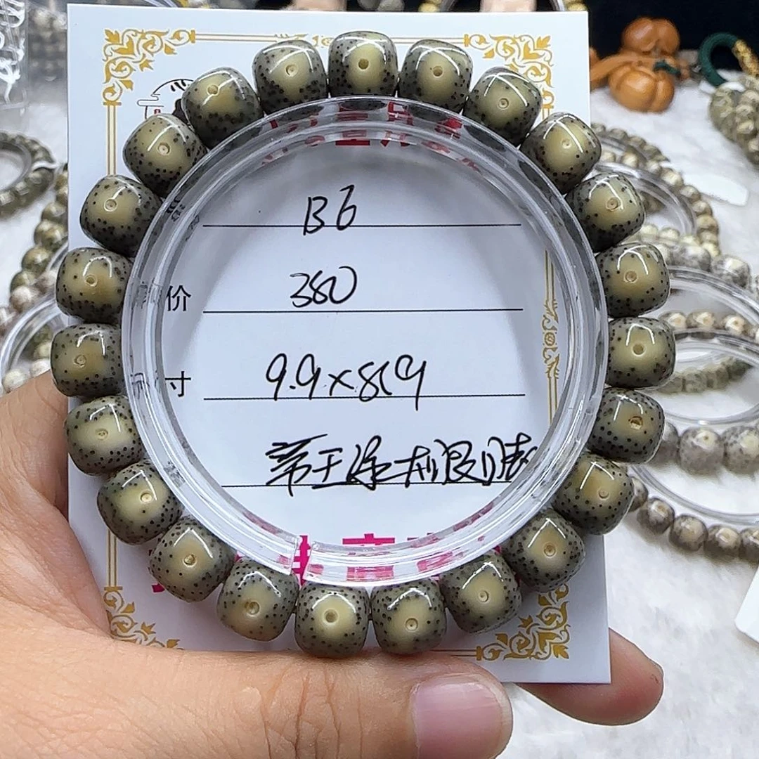 心月心月菩提一号B6