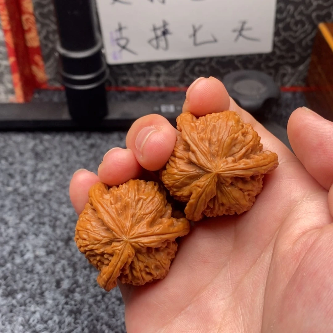【闪购商品】S****e白狮子