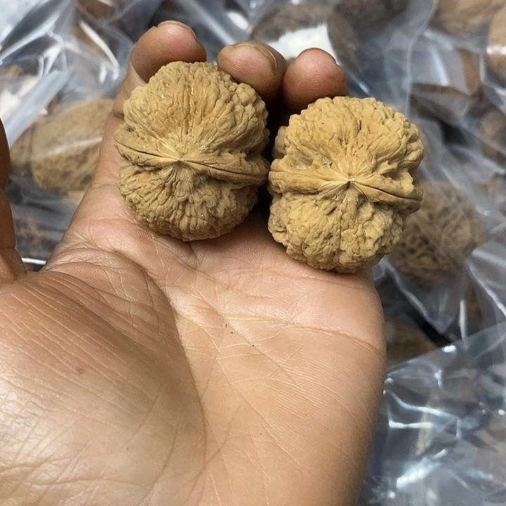 核桃云南铁核桃基地17