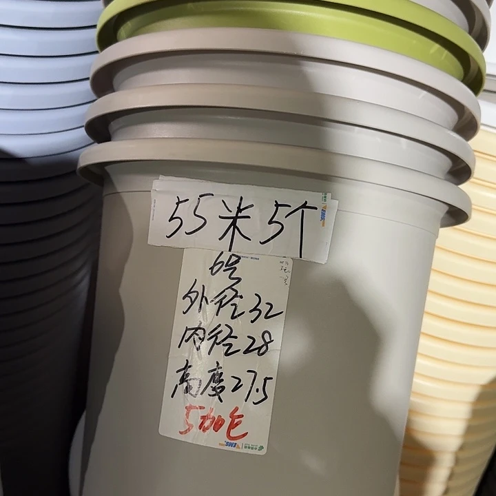 四季6号灰白无托7个特价微瑕