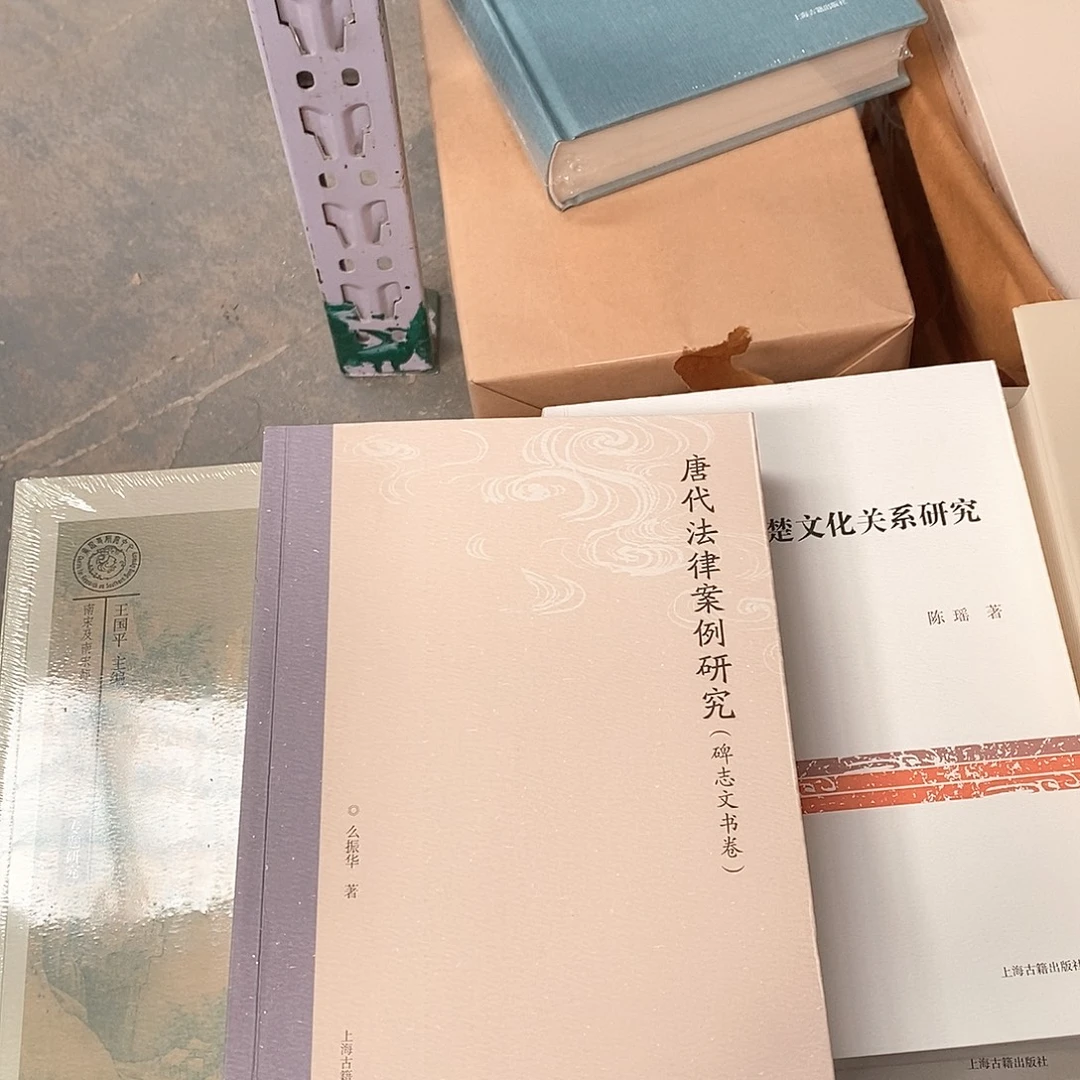 唐代法律案例研究