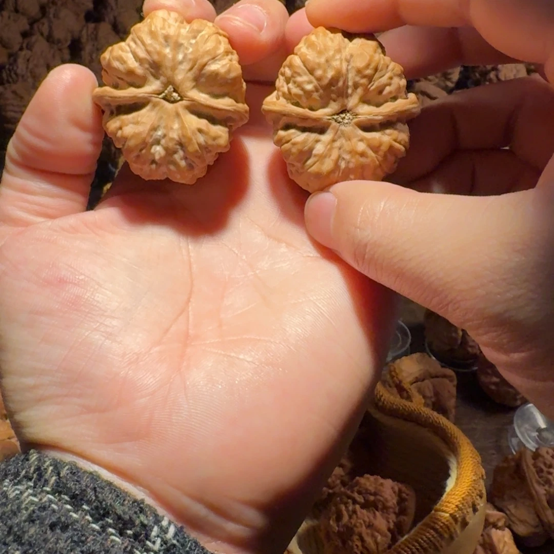 H***s吊坠文玩核桃蛤蟆的眼睛是真的好看啊我