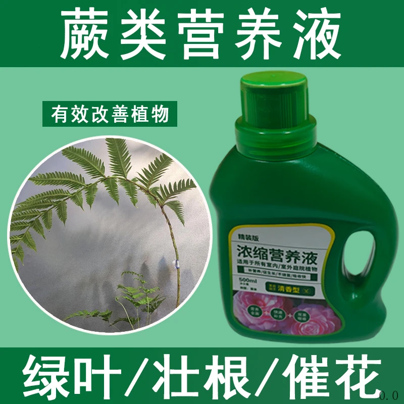 蕨类营养液通用型蕨类专用营养液花肥绿植水培植物肥料生根治黄叶