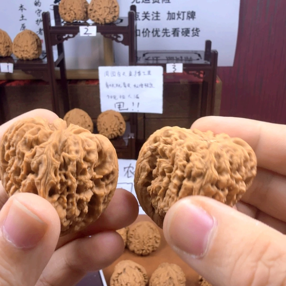 有机玻璃天蚕39尺寸120