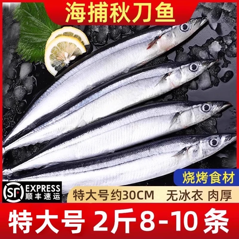 秋刀鱼新鲜冷冻特大号2斤海鲜水产深海鱼日式烧烤食材可商用顺丰