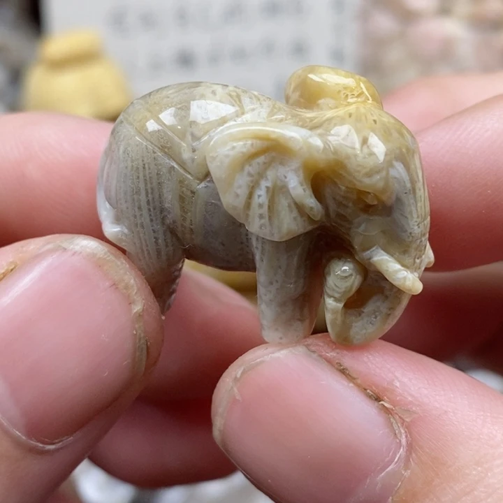 颈饰未镶嵌硅化珊瑚（珊瑚玉）小