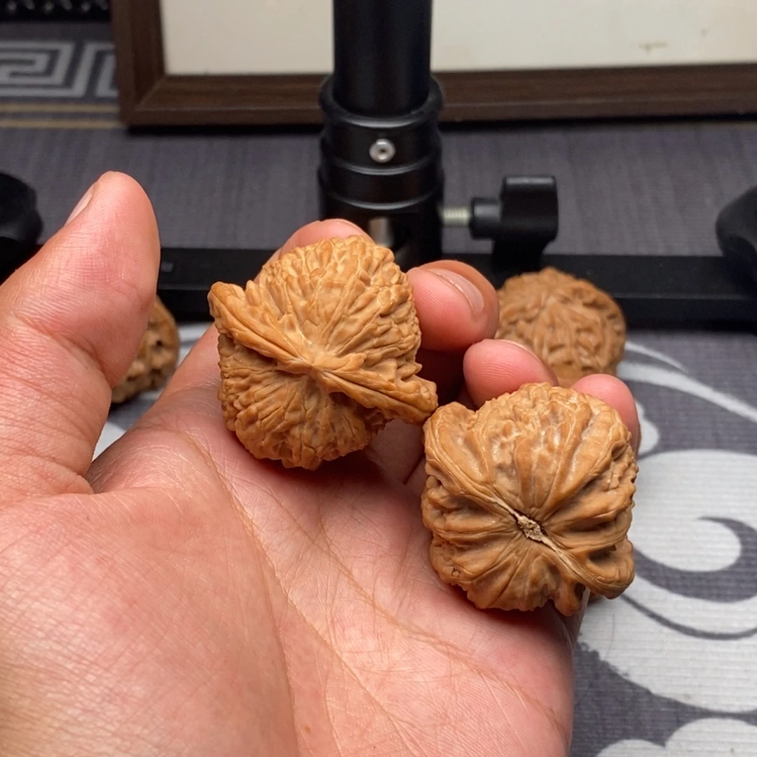 L***o把件文玩核桃全品树头球白41