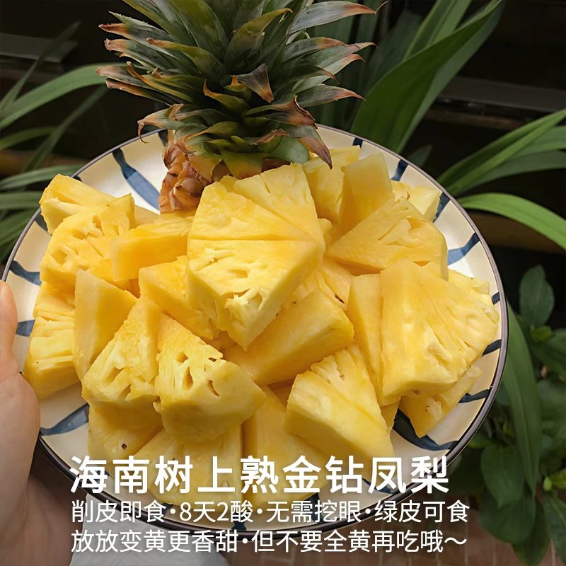 【京东包邮】海南树上熟金钻凤梨4.5-5.5斤新鲜水果当季凤梨自然熟