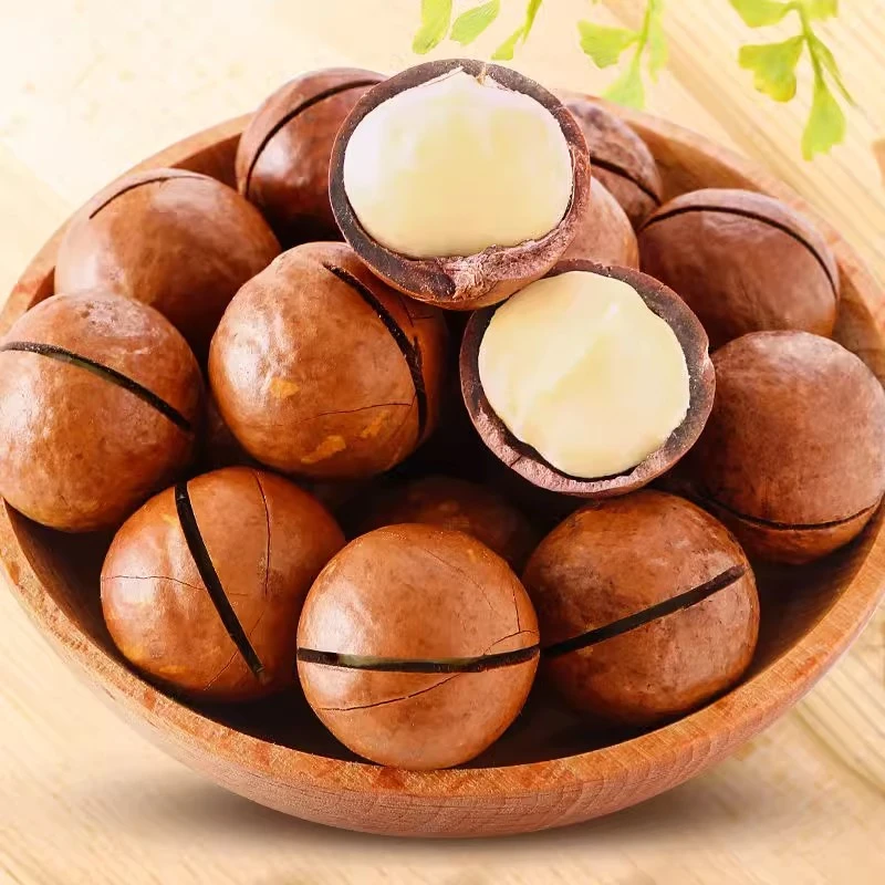 【净重一斤】22-25大颗粒奶香味夏威夷果饱满酥脆坚果零食送开口器