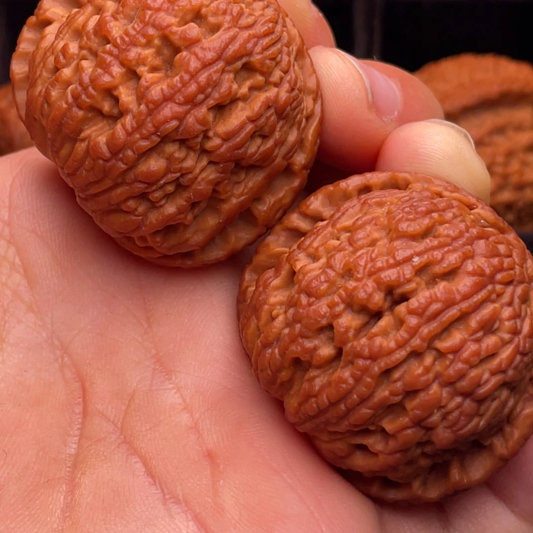 文玩核桃把件秦岭野生核桃