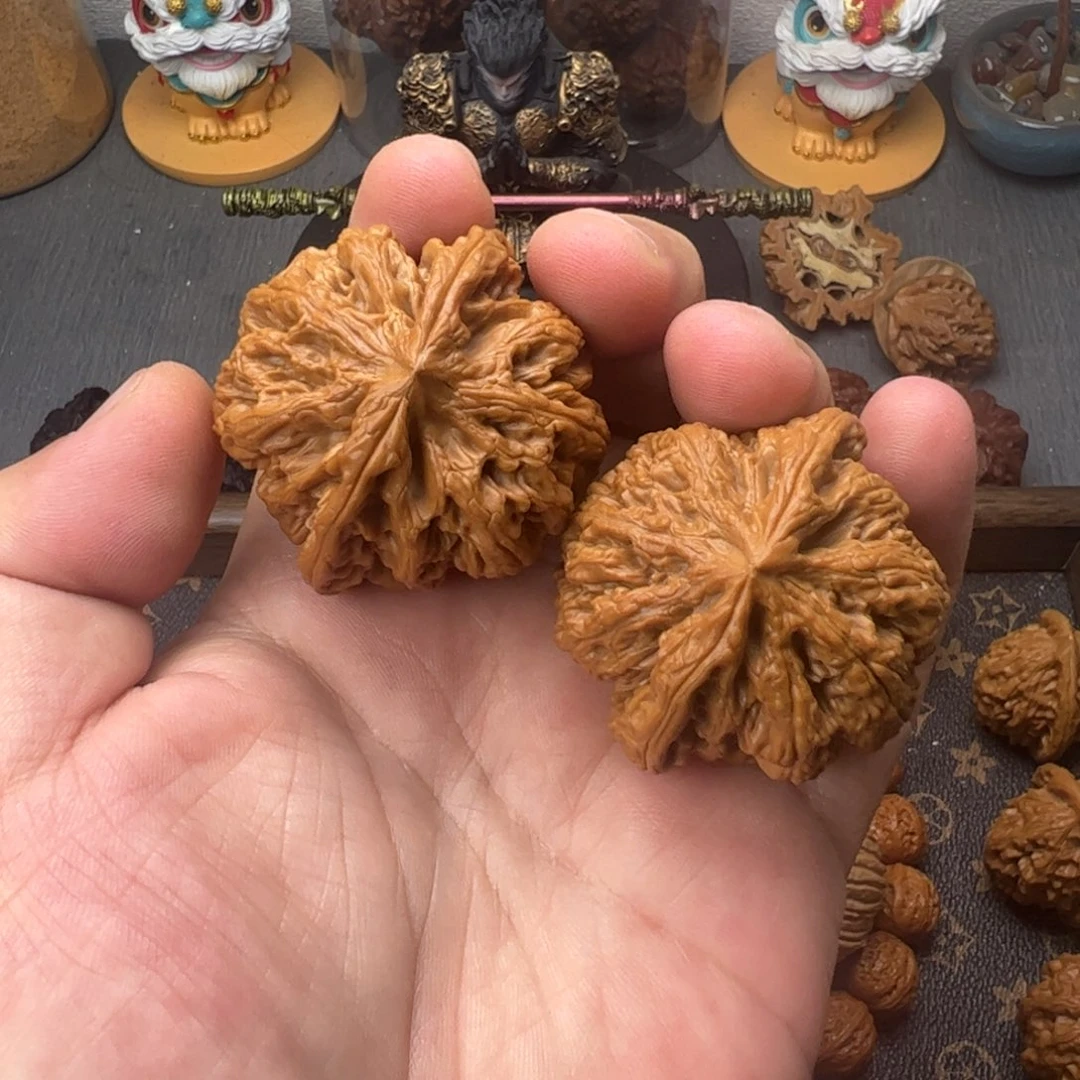 47➕平谷大粗筋全品