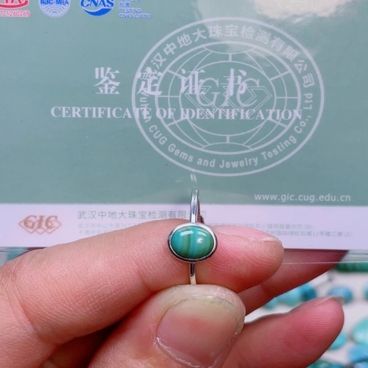 银S925镶嵌绿松石珠宝奇石