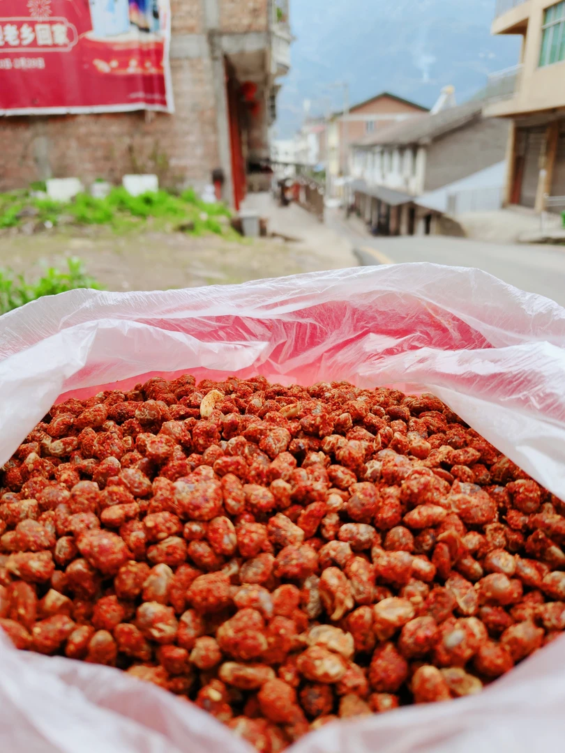 四川万源河口镇秦河村农户自种本地黄豆自制豆豉/包邮