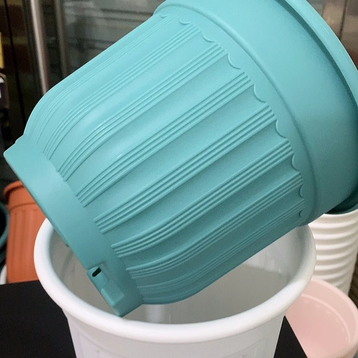 罗马口21高18蓝4个无托