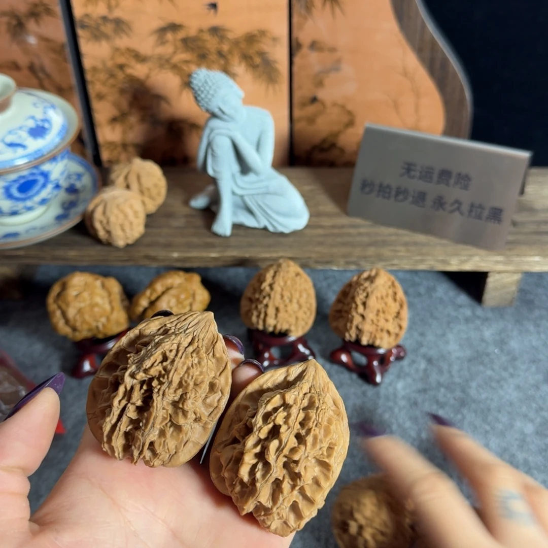 全品4342秦岭原生态大花