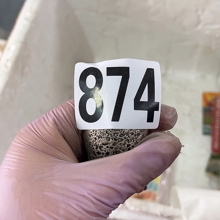 ****哥85486555786596885465