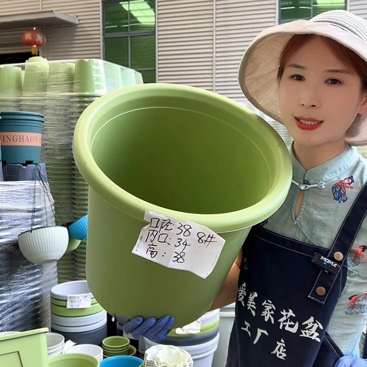 四季盆8#果绿5个无托