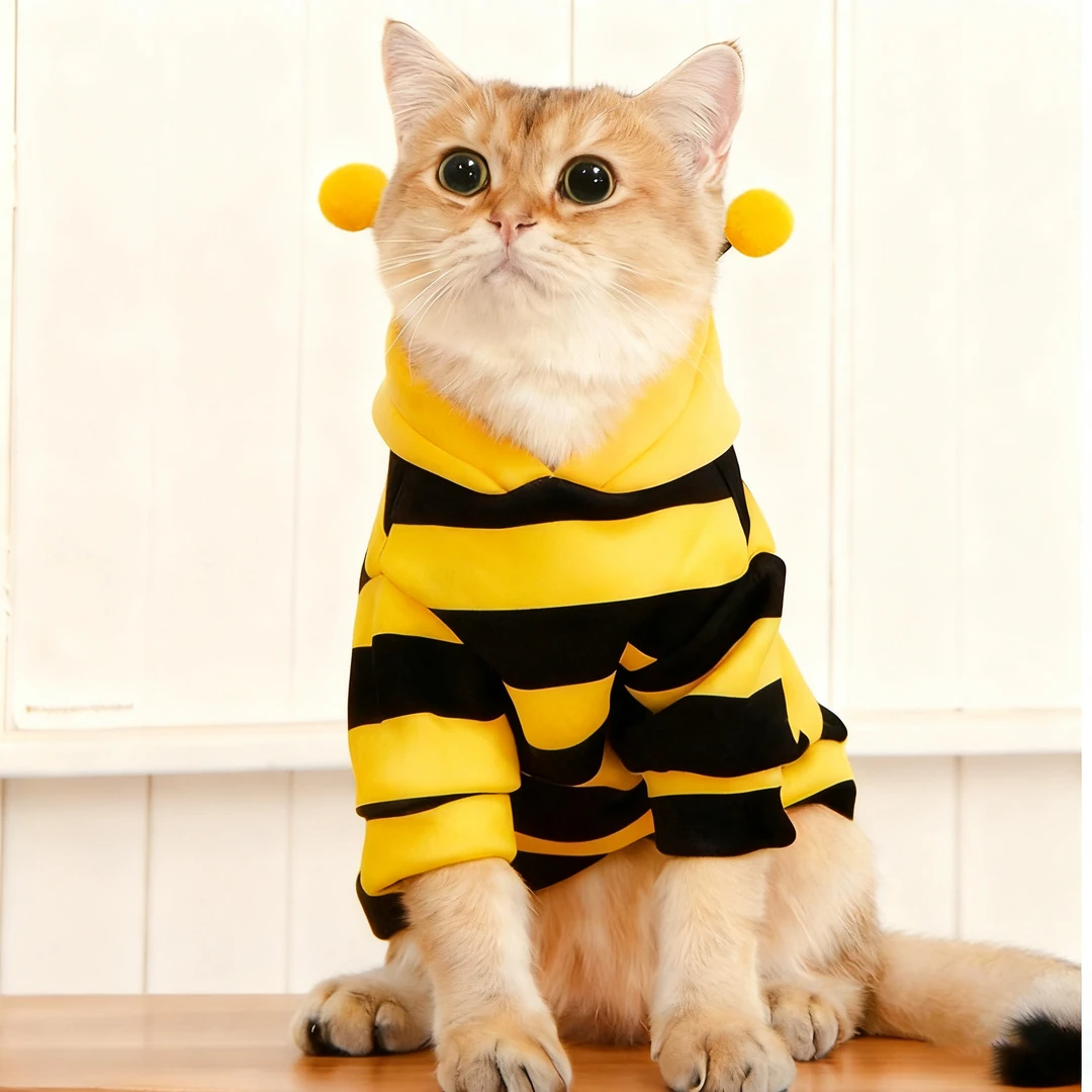 小蜜蜂猫咪秋冬款卫衣冬季保暖布偶英短养狗必备小猫咪宠物衣服