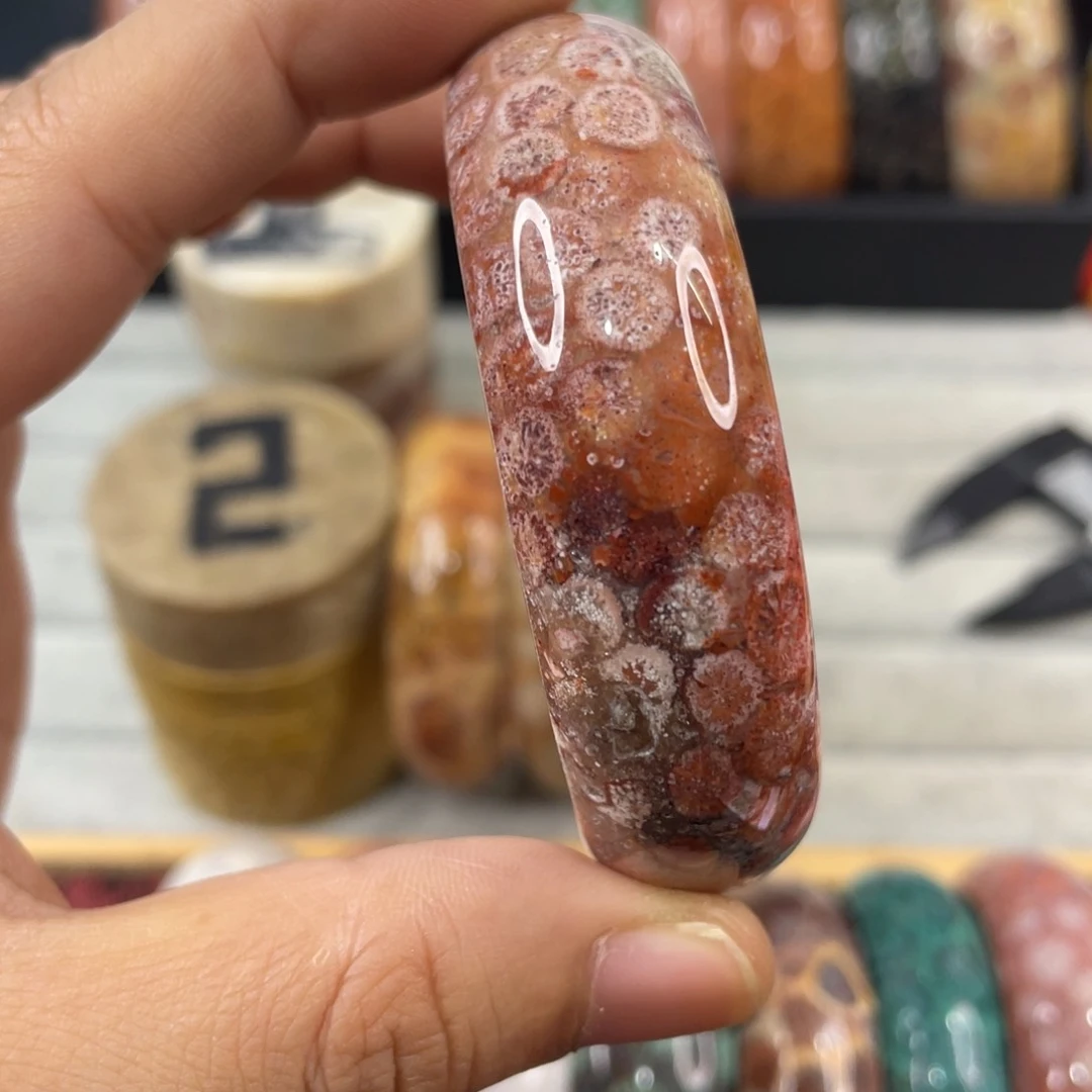 未镶嵌手镯硅化玉