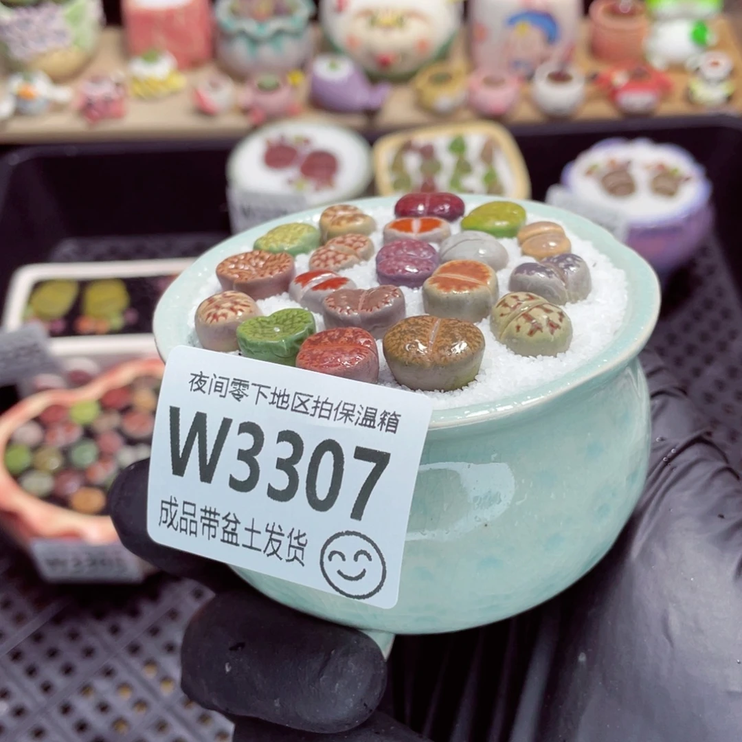 夜间零下地区拍保温箱w3307