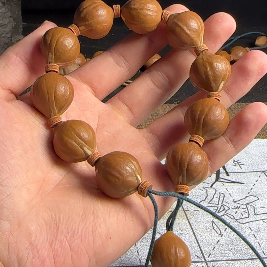 橄榄核2.0老树王铁核原生