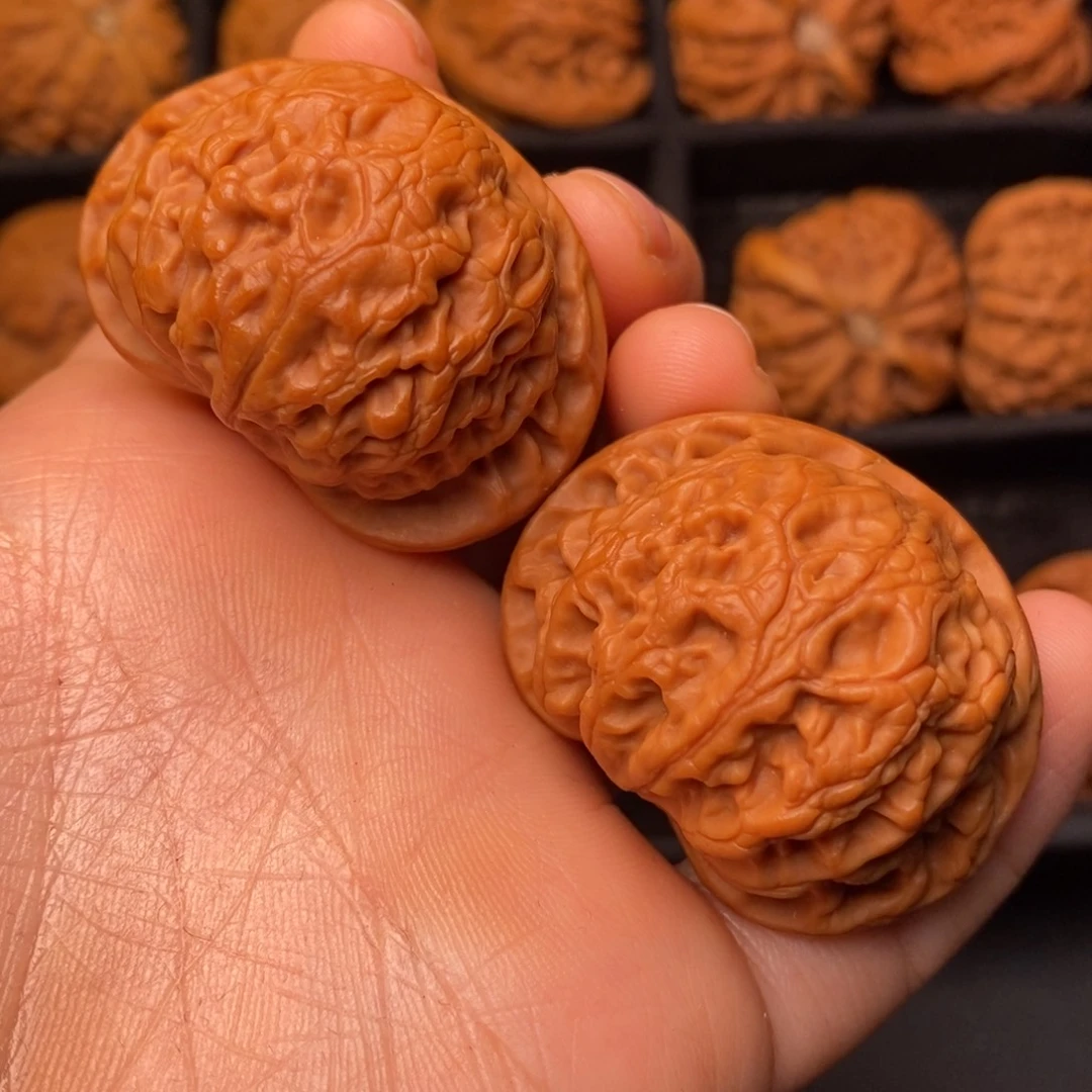 秦岭野生文玩核桃