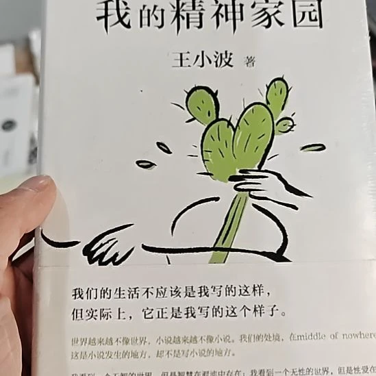 王小波我的精神家园