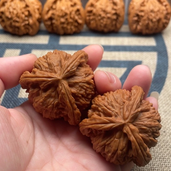 风***景石楠木白狮子43核桃