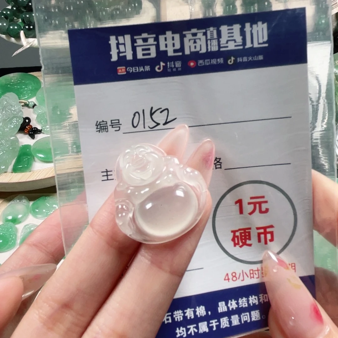 H***m石英质玉未镶嵌颈饰