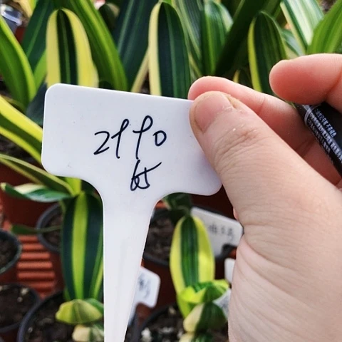 【闪购商品】用****8