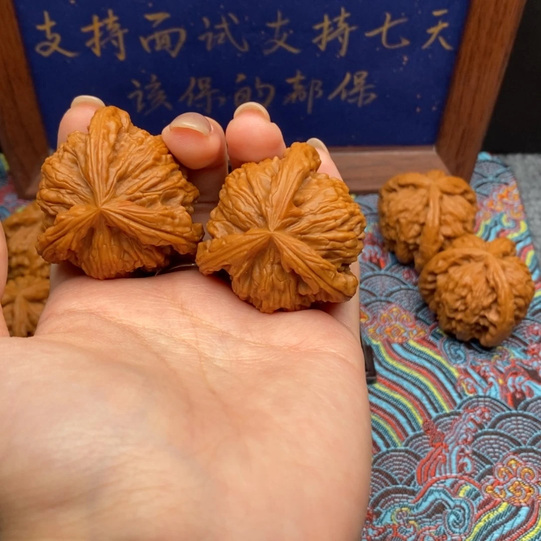 【闪购商品】C*C白狮