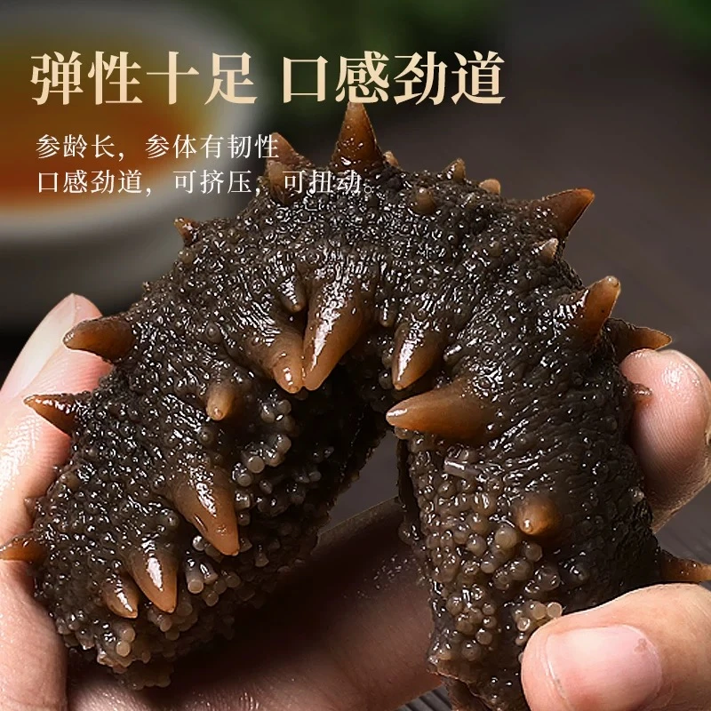 明小胖9A大连鲜食海参5-8头 500g*3