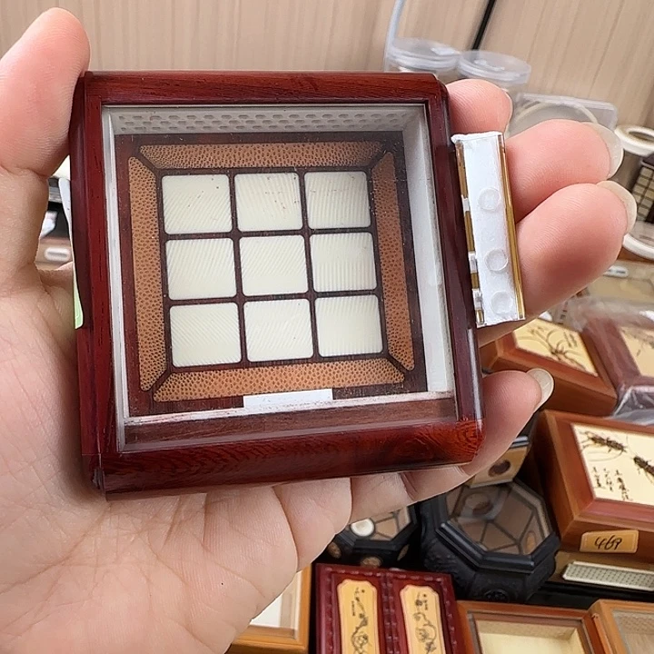 仅一天鸣虫盒送加湿器