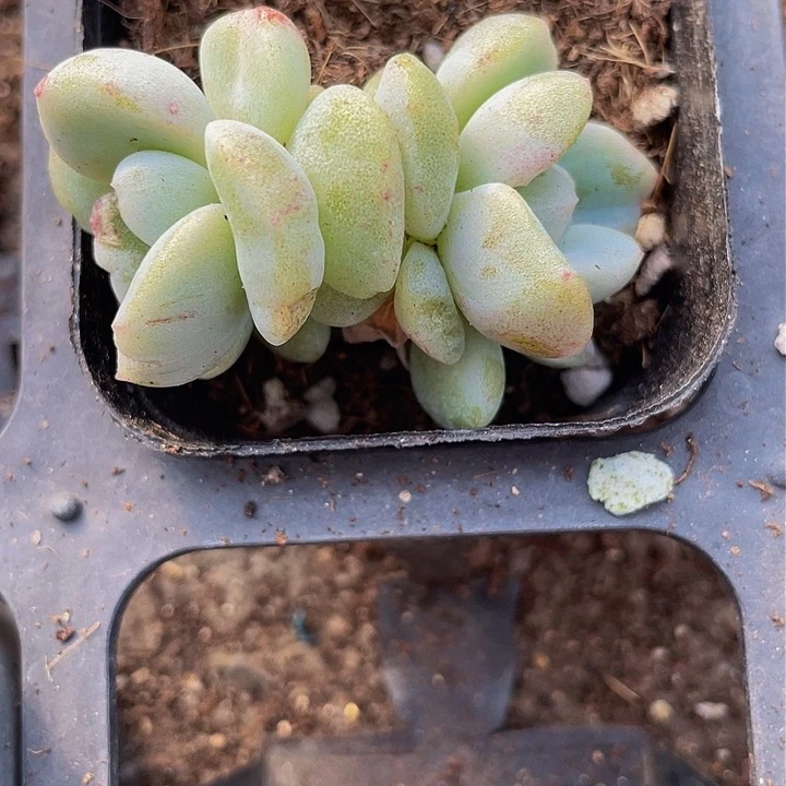 曦*一我一拍满18包邮