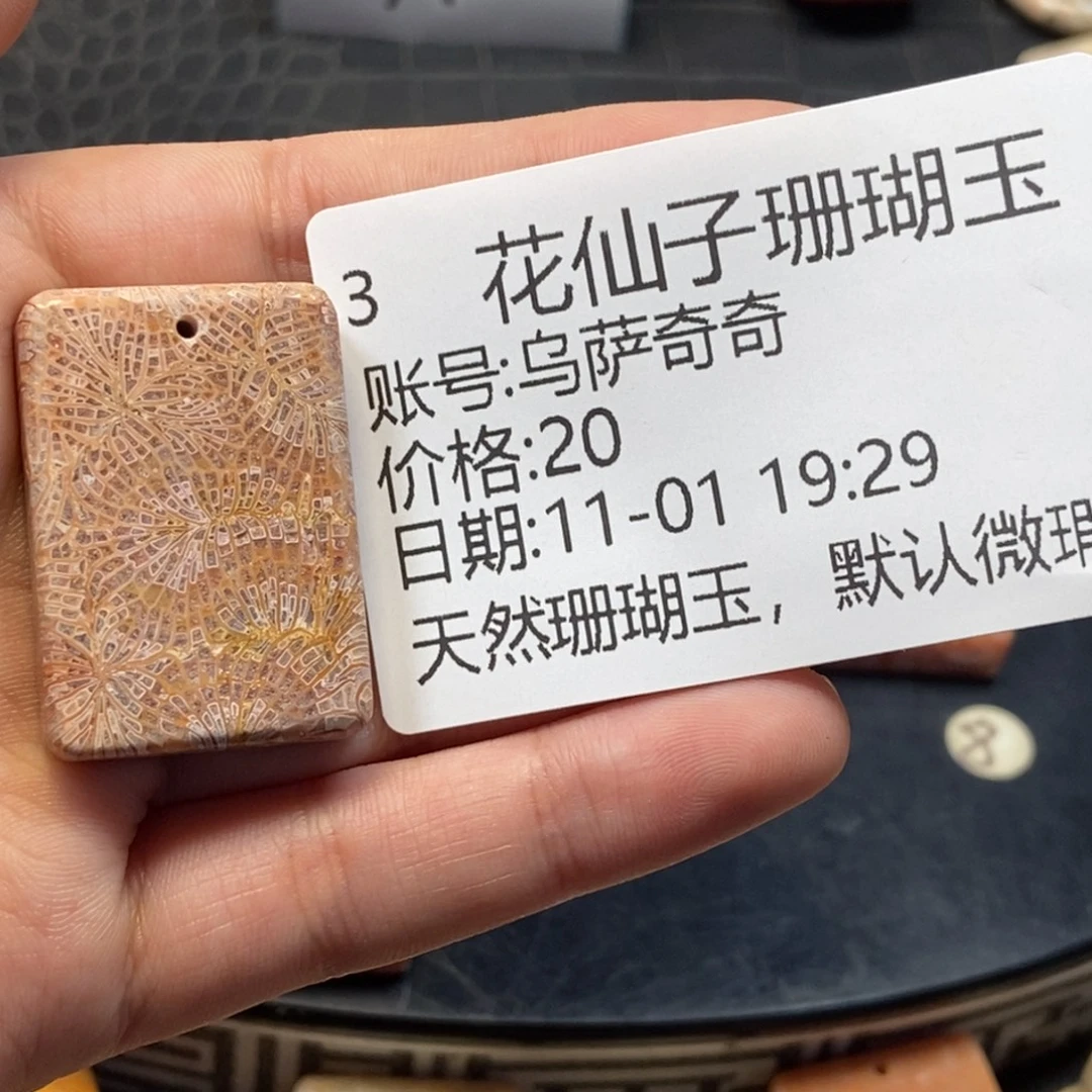 乌***奇硅化珊瑚（珊瑚玉）未镶嵌珠宝半成品3