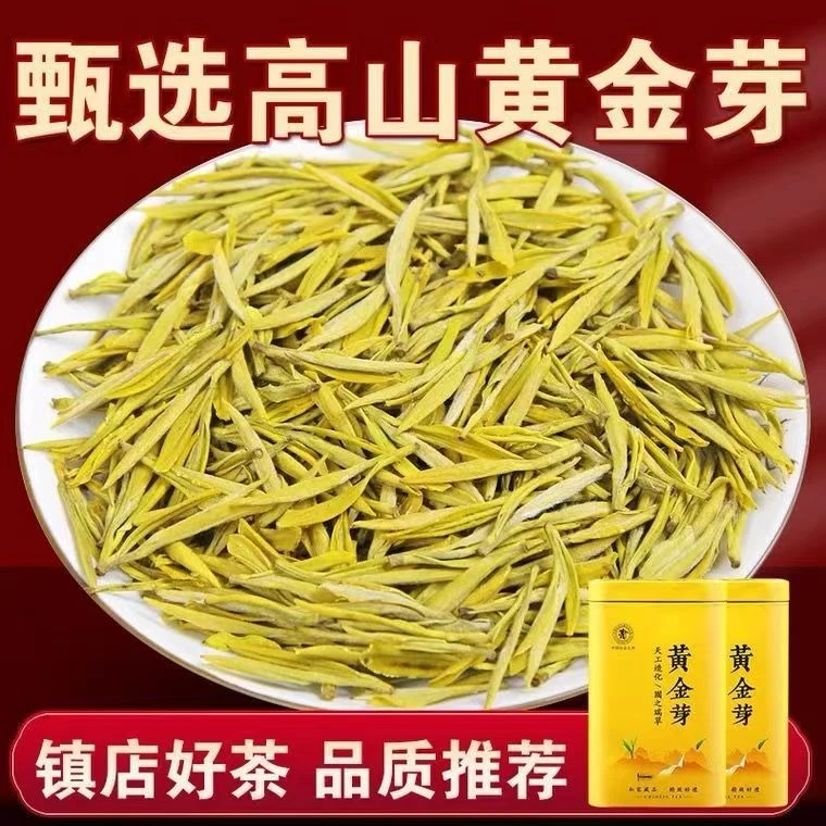 （新茶福利）正宗品质黄金芽茶叶鲜爽回甘浓香型豆香味耐泡鲜嫩绿茶