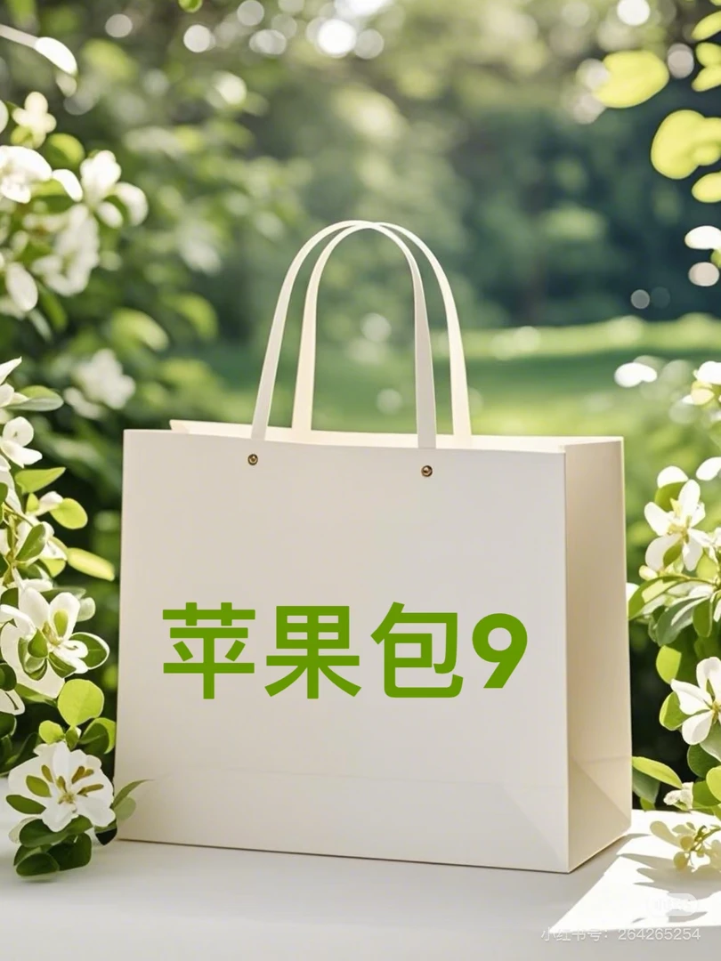 09单肩手提斜挎包经典女士包